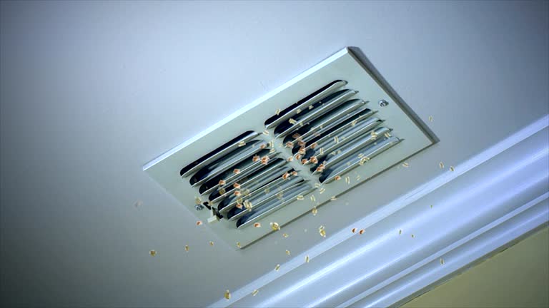 Best Home Air Vent Cleaning  in Bridgman, MI